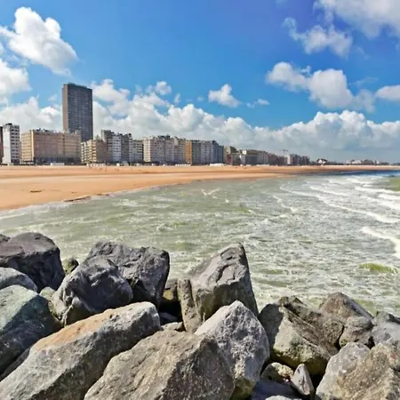 Apartment In Near The Ostend